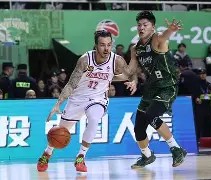 包含浙江稠州迎CBA季后赛关键赛，窗口期调整名单，信心回归，数据趋势出现新变化的词条-亚博平台